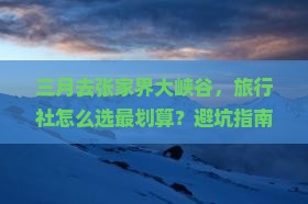 三月到张家界大峡谷旅行社