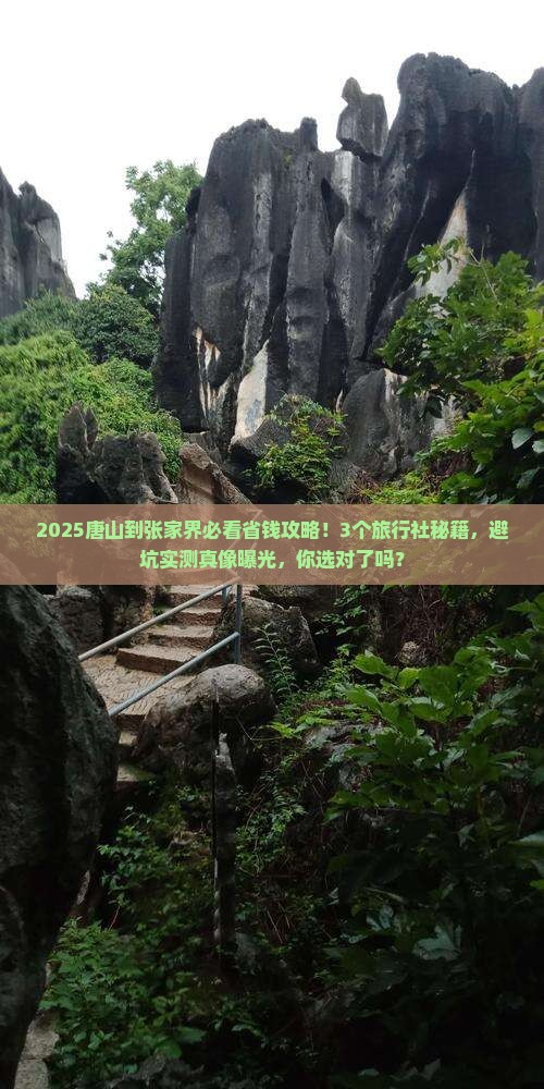 唐山到张家界旅行社