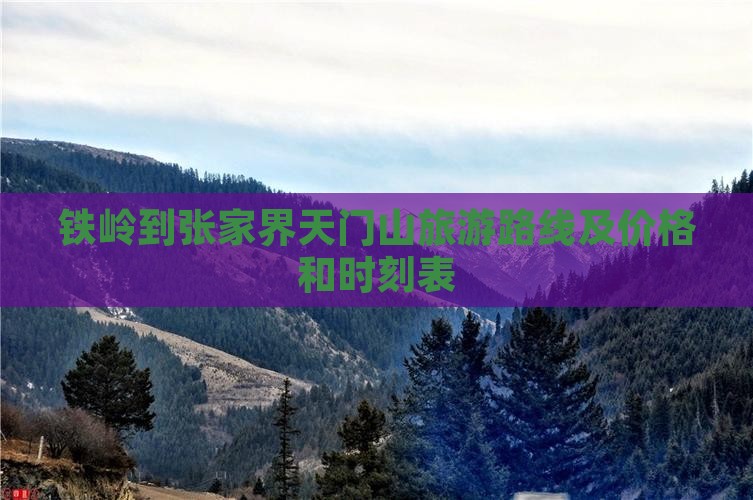 铁岭到张家界天门山旅游
