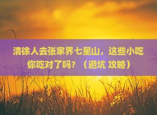 清徐去张家界七星山旅游小吃