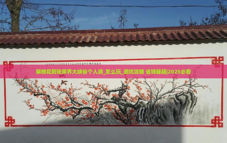 攀枝花到张家界大峡谷个人游