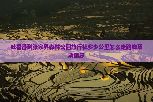 吐鲁番到张家界森林公园旅行社