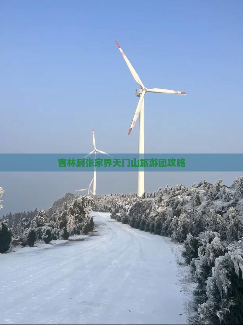 吉林到张家界天门山大型旅游团