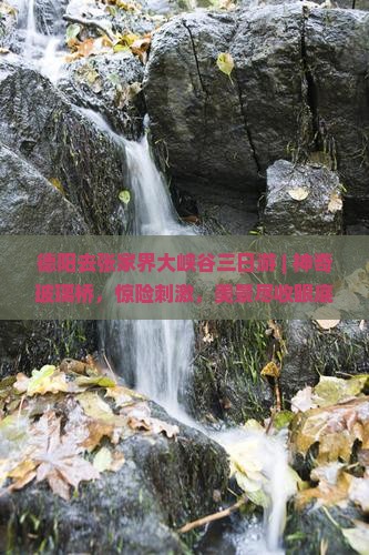 德阳去张家界大峡谷三日游