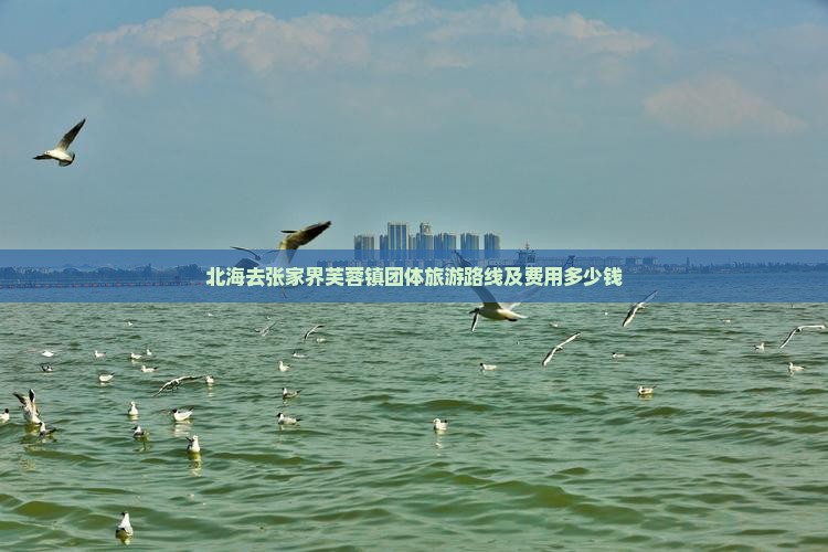 北海去张家界芙蓉镇团体旅游路线及费用多少钱