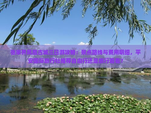 张家界凤凰古城三日游攻略：景点路线与费用明细，平安国际旅行社推荐自由行还是旅行看看？