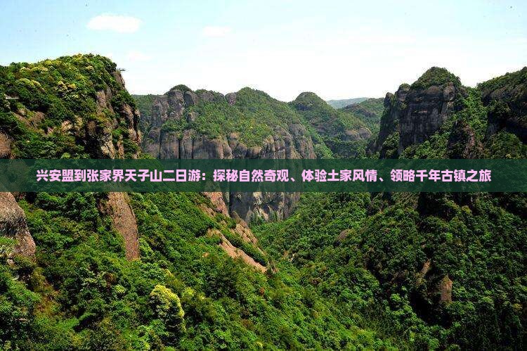 兴安盟到张家界天子山二日游：探秘自然奇观、体验土家风情、领略千年古镇之旅