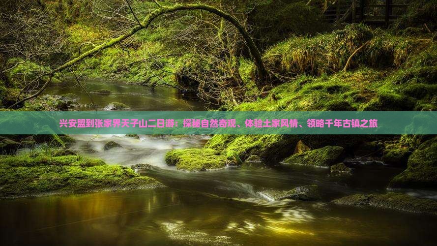 兴安盟到张家界天子山二日游：探秘自然奇观、体验土家风情、领略千年古镇之旅