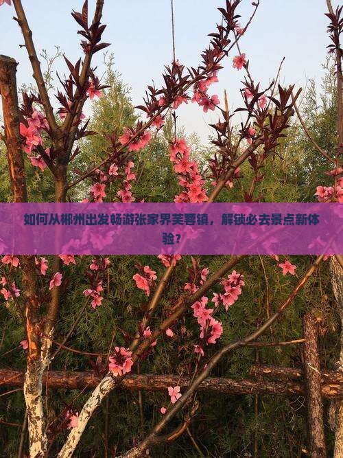 如何从郴州出发畅游张家界芙蓉镇，解锁必去景点新体验？
