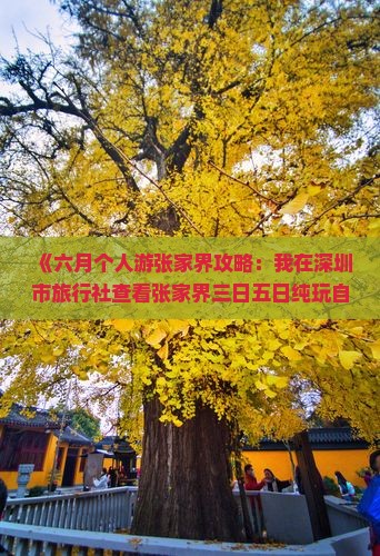 《六月个人游张家界攻略：我在深圳市旅行社查看张家界三日五日纯玩自由行合适月份信息及多少钱》