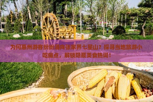 为何惠州游客纷纷涌向张家界七星山？探寻当地旅游小吃痛点，解锁隐藏美食热词！