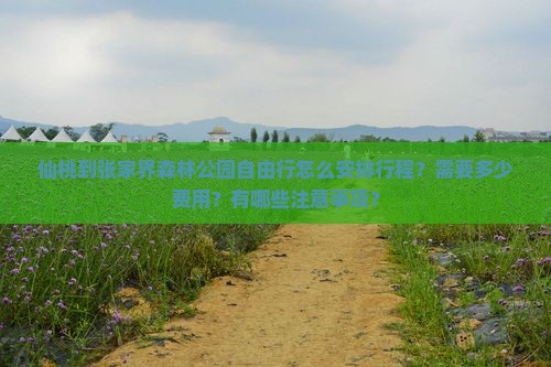 仙桃到张家界森林公园自由行怎么安排行程？需要多少费用？有哪些注意事项？