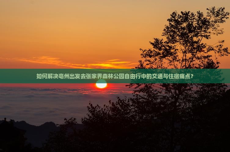 如何解决亳州出发去张家界森林公园自由行中的交通与住宿痛点？