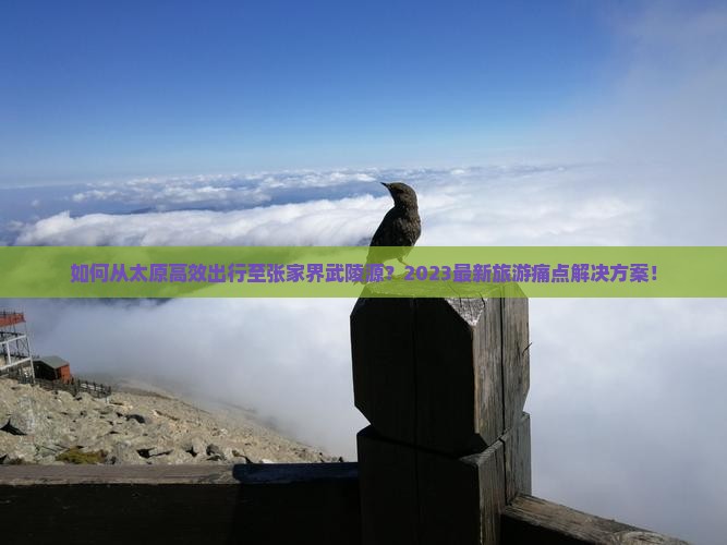 如何从太原高效出行至张家界武陵源？2023最新旅游痛点解决方案！