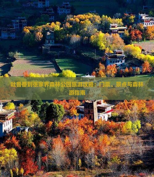 吐鲁番到张家界森林公园旅游攻略：门票、景点与森林游指南