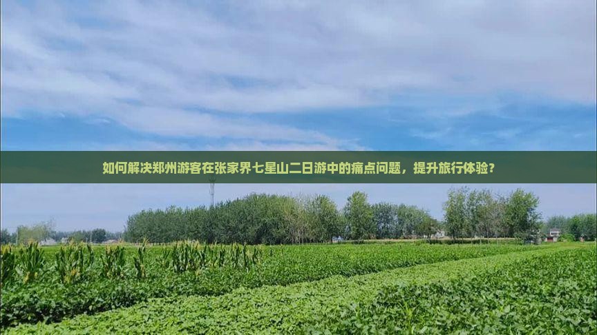如何解决郑州游客在张家界七星山二日游中的痛点问题，提升旅行体验？