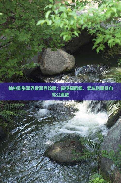 仙桃到张家界袁家界攻略：最便捷路线、乘车指南及自驾公里数