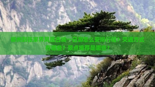 郴州到张家界凤凰古城一日游怎么安排行程？交通方式有哪些？景点推荐是哪些？
