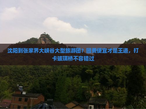 沈阳到张家界大峡谷大型旅游团？团费便宜才是王道，打卡玻璃桥不容错过