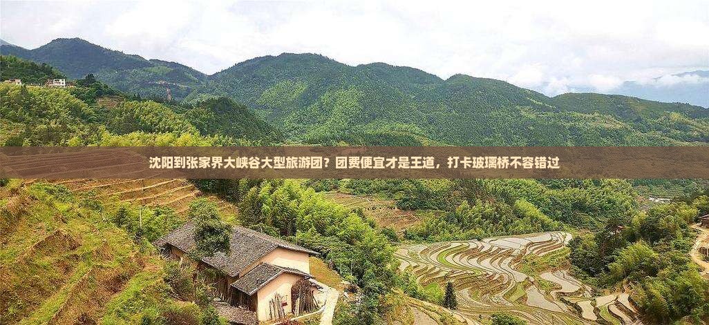 沈阳到张家界大峡谷大型旅游团？团费便宜才是王道，打卡玻璃桥不容错过