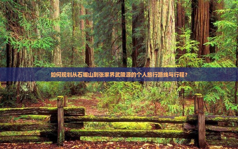如何规划从石嘴山到张家界武陵源的个人旅行路线与行程？
