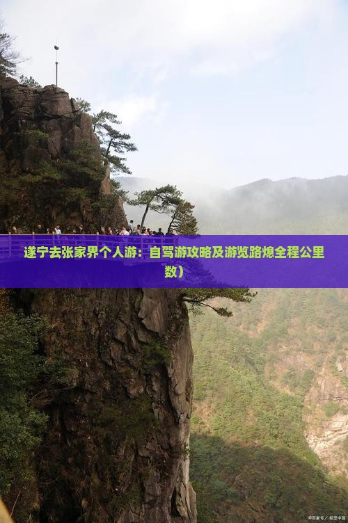 遂宁去张家界个人游：自驾游攻略及游览路熄全程公里数）