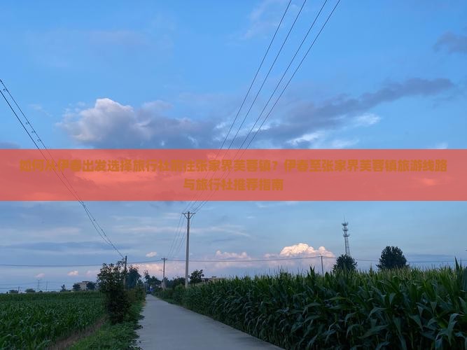 如何从伊春出发选择旅行社前往张家界芙蓉镇？伊春至张家界芙蓉镇旅游线路与旅行社推荐指南