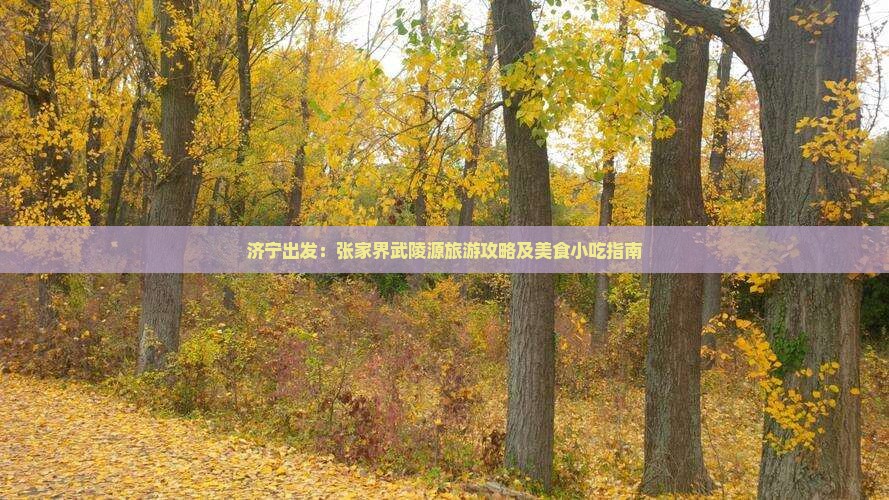 济宁出发：张家界武陵源旅游攻略及美食小吃指南