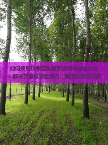 如何规划锦州至张家界玻璃栈道自由行？解决交通与安全痛点，解锁最新旅行热词！