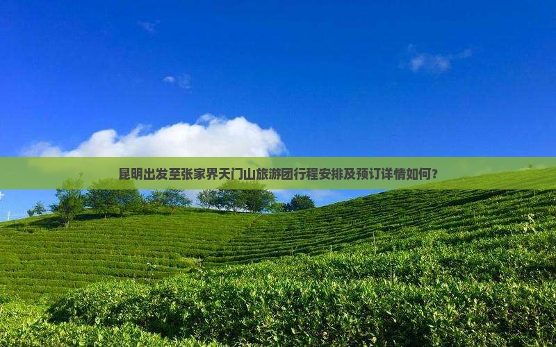 昆明出发至张家界天门山旅游团行程安排及预订详情如何？