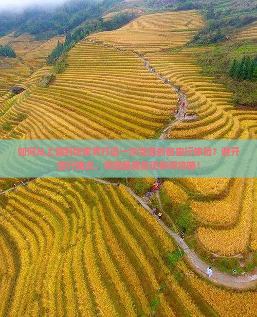 如何从上饶到张家界打造一次完美的自由行体验？避开旅行痛点，掌握最新热词新词攻略！