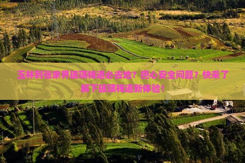 玉林到张家界玻璃栈道必去地？担心安全问题？快来了解下玻璃栈道新体验！