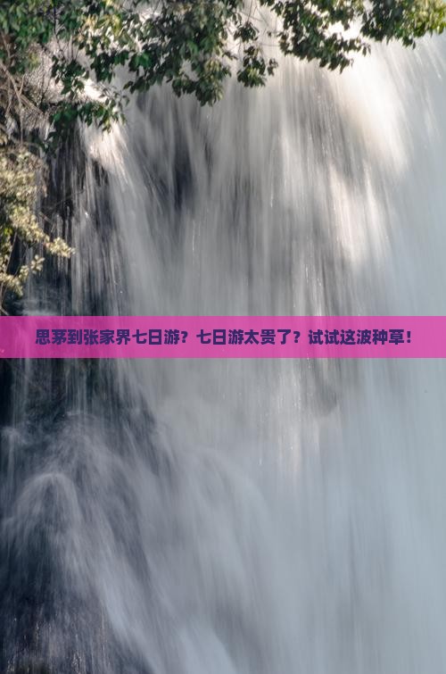 思茅到张家界七日游？七日游太贵了？试试这波种草！
