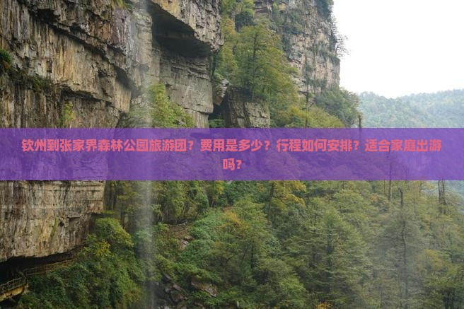 钦州到张家界森林公园旅游团？费用是多少？行程如何安排？适合家庭出游吗？