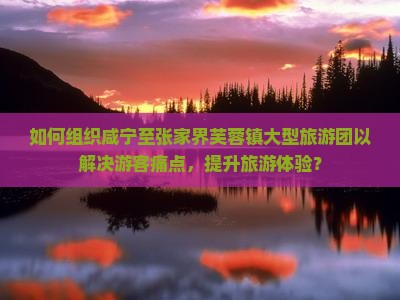 如何组织咸宁至张家界芙蓉镇大型旅游团以解决游客痛点，提升旅游体验？