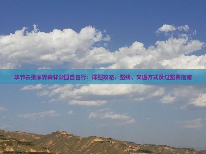 毕节去张家界森林公园自由行：详细攻略、路线、交通方式及过路费指南