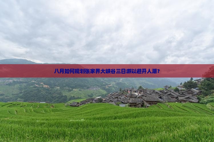 八月如何规划张家界大峡谷三日游以避开人潮？