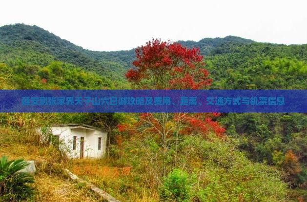 延安到张家界天子山六日游攻略及费用、距离、交通方式与机票信息