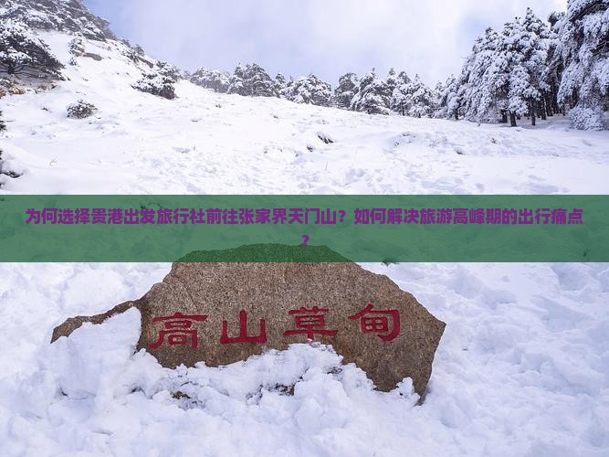 为何选择贵港出发旅行社前往张家界天门山？如何解决旅游高峰期的出行痛点？