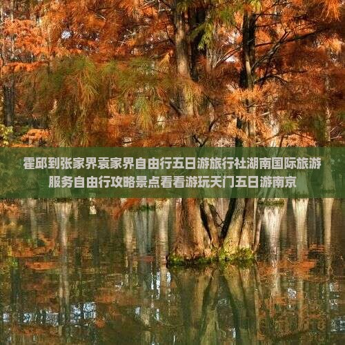 霍邱到张家界袁家界自由行五日游旅行社湖南国际旅游服务自由行攻略景点看看游玩天门五日游南京