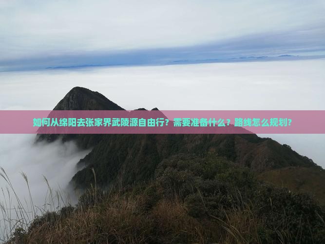 如何从绵阳去张家界武陵源自由行？需要准备什么？路线怎么规划？