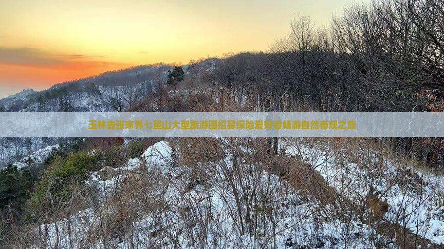 玉林去张家界七星山大型旅游团招募探险爱好者畅游自然奇观之旅