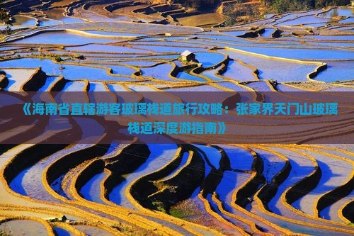 《海南省直辖游客玻璃栈道旅行攻略：张家界天门山玻璃栈道深度游指南》