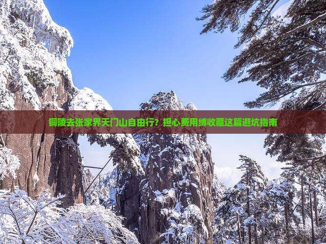 铜陵去张家界天门山自由行？担心费用缚收藏这篇避坑指南