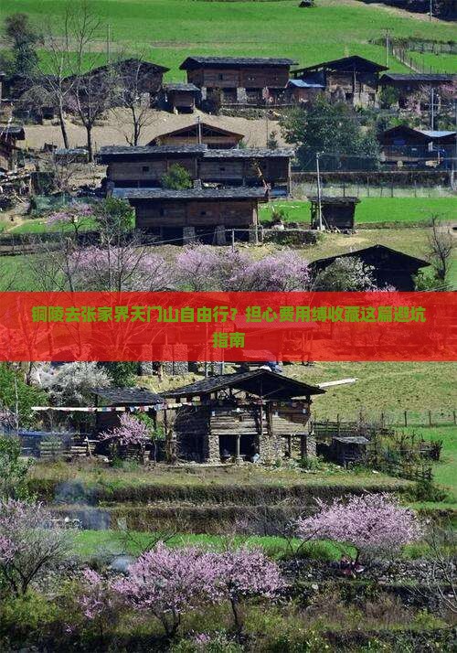 铜陵去张家界天门山自由行？担心费用缚收藏这篇避坑指南