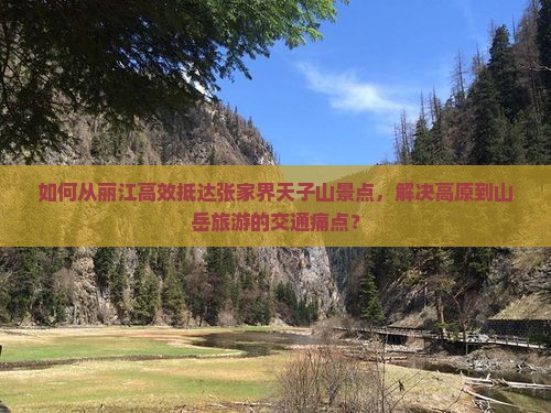 如何从丽江高效抵达张家界天子山景点，解决高原到山岳旅游的交通痛点？