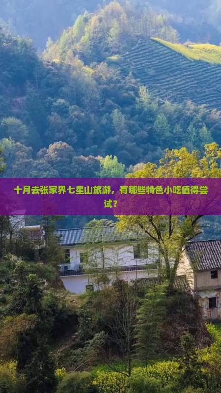 十月去张家界七星山旅游，有哪些特色小吃值得尝试？