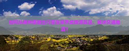 如何从郴州便捷出行至张家界武陵源景区，解决交通难题？