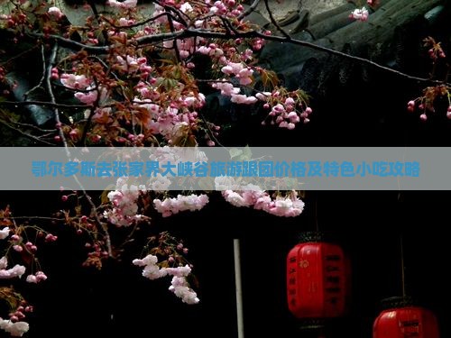 鄂尔多斯去张家界大峡谷旅游跟团价格及特色小吃攻略