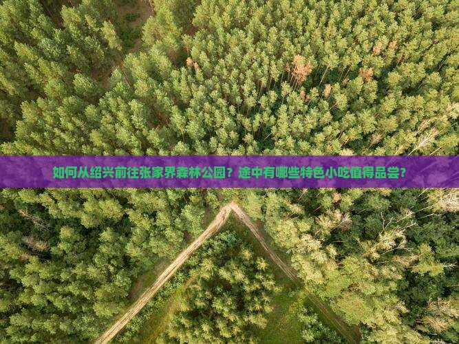 如何从绍兴前往张家界森林公园？途中有哪些特色小吃值得品尝？